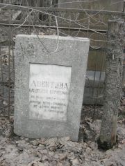 Левитина Елизавета Борисовна, Москва, Востряковское кладбище