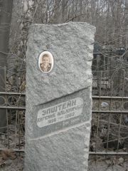 Эпштейн Евгения ильинична, Москва, Востряковское кладбище