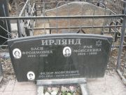 Ирлянд Бася Фроимовна, Москва, Востряковское кладбище
