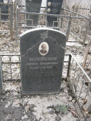 Розенблюм Евгения Владимировна, Москва, Востряковское кладбище