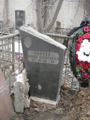 Хиллер Давид Матвеевич, Москва, Востряковское кладбище