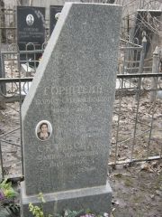 Горштейн Борис Соломонович, Москва, Востряковское кладбище