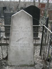 Шахнович Лазарь Исаакович, Москва, Востряковское кладбище
