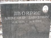 Двойрис Алексндр Давидович, Москва, Востряковское кладбище