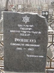 Розенгауз Елизавета Иосифовна, Москва, Востряковское кладбище