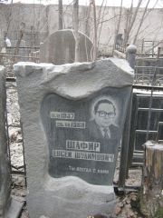 Шафир Евсей Шулимович, Москва, Востряковское кладбище