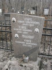 Сэрх Софья Григорьевна, Москва, Востряковское кладбище