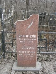 Брунштейн Яков Иосифович, Москва, Востряковское кладбище