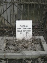 Соболь Ефим Семенович, Москва, Востряковское кладбище