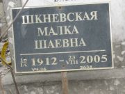 Шкневская Малка Шаевна, Москва, Востряковское кладбище