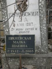Шкневскаий Д. А., Москва, Востряковское кладбище