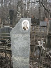 Гинзбург Илья Михайлович, Москва, Востряковское кладбище