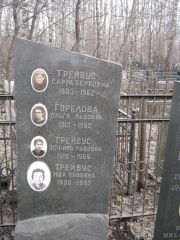 Трейвус Сарра Берковна, Москва, Востряковское кладбище