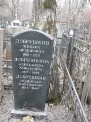 Добрушкина Александра Моисеевна, Москва, Востряковское кладбище