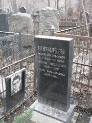 Шнейдер Марк Иосифович, Москва, Востряковское кладбище