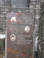 Матисон Абрам Наумович, Москва, Востряковское кладбище