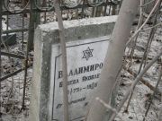Владимирова Башева Яковлевна, Москва, Востряковское кладбище
