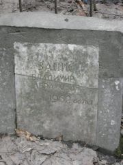 Занис Владимир Абрамович, Москва, Востряковское кладбище