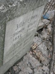 Эльперин Соломон Юрьевич, Москва, Востряковское кладбище