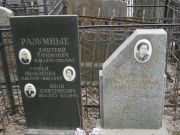 Разумный Дмитрий Ефимович, Москва, Востряковское кладбище