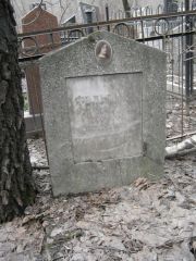 Фельдман Анна Самуиловна, Москва, Востряковское кладбище