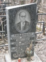 Гольденблат Иосиф Исаакович, Москва, Востряковское кладбище