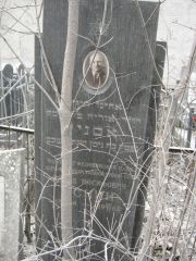 Эснин Давид Иосифович, Москва, Востряковское кладбище