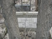 Шварц Израиль Моисеевич, Москва, Востряковское кладбище