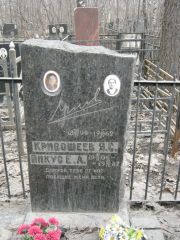 Пикус Е. А., Москва, Востряковское кладбище