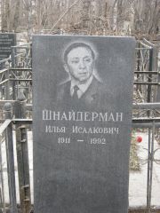 Шнейдерман Илья Исаакович, Москва, Востряковское кладбище