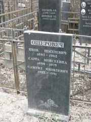 Ошерович Яков Шмулевич, Москва, Востряковское кладбище