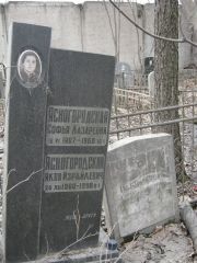 Ясногорский Яков Израилевич, Москва, Востряковское кладбище