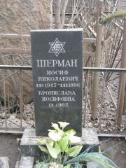 Шерман Иосиф Николаевич, Москва, Востряковское кладбище