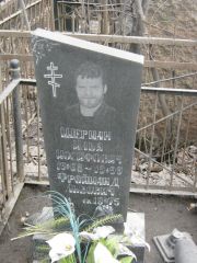 Шерман Илья Иосифович, Москва, Востряковское кладбище