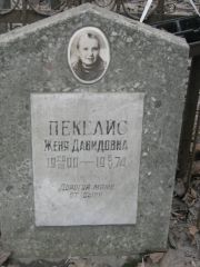 Пекелис Женя Давидовна, Москва, Востряковское кладбище
