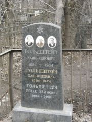 Гольдштейн Исаак Хаймович, Москва, Востряковское кладбище