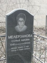 Мелерзанова Софья Львовна, Москва, Востряковское кладбище