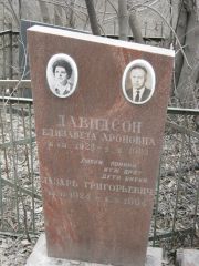 Давидсон Елизавета Ароновна, Москва, Востряковское кладбище