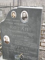 Коган Ида Абрамовна, Москва, Востряковское кладбище