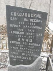 Соколовская Ирина Ильинична, Москва, Востряковское кладбище