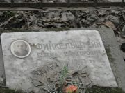 Фикельштейн Шлема Викторович, Москва, Востряковское кладбище
