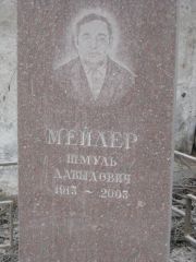 Мейлер Шмуль Давыдович, Москва, Востряковское кладбище