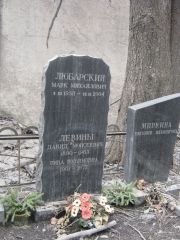 Левин Давид Моисеевич, Москва, Востряковское кладбище