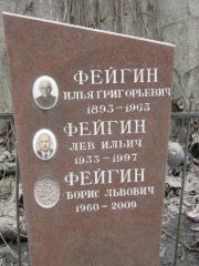 Фейгин Илья Григорьевич, Москва, Востряковское кладбище