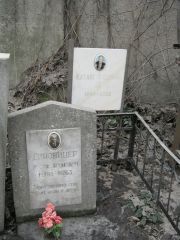 Диновицер Иосиф Аронович, Москва, Востряковское кладбище