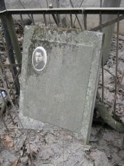 Генис Лазарь Абрамович, Москва, Востряковское кладбище