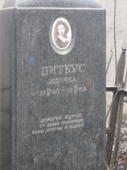 Питкус Идочка , Москва, Востряковское кладбище