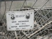 Шлеер Бася Иосифовна, Москва, Востряковское кладбище