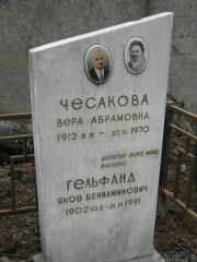 Гельфанд Яков Вениаминович, Москва, Востряковское кладбище