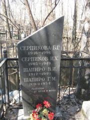 Шапиро В. И., Москва, Востряковское кладбище